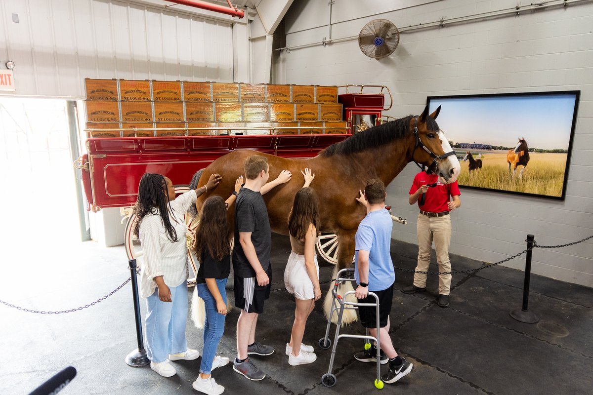 If you've ever been curious about the history and dedication behind our breeding program, our History and Horses tour is the one for you! 🐴 

Book yours online today: ms.spr.ly/6011S9cTF