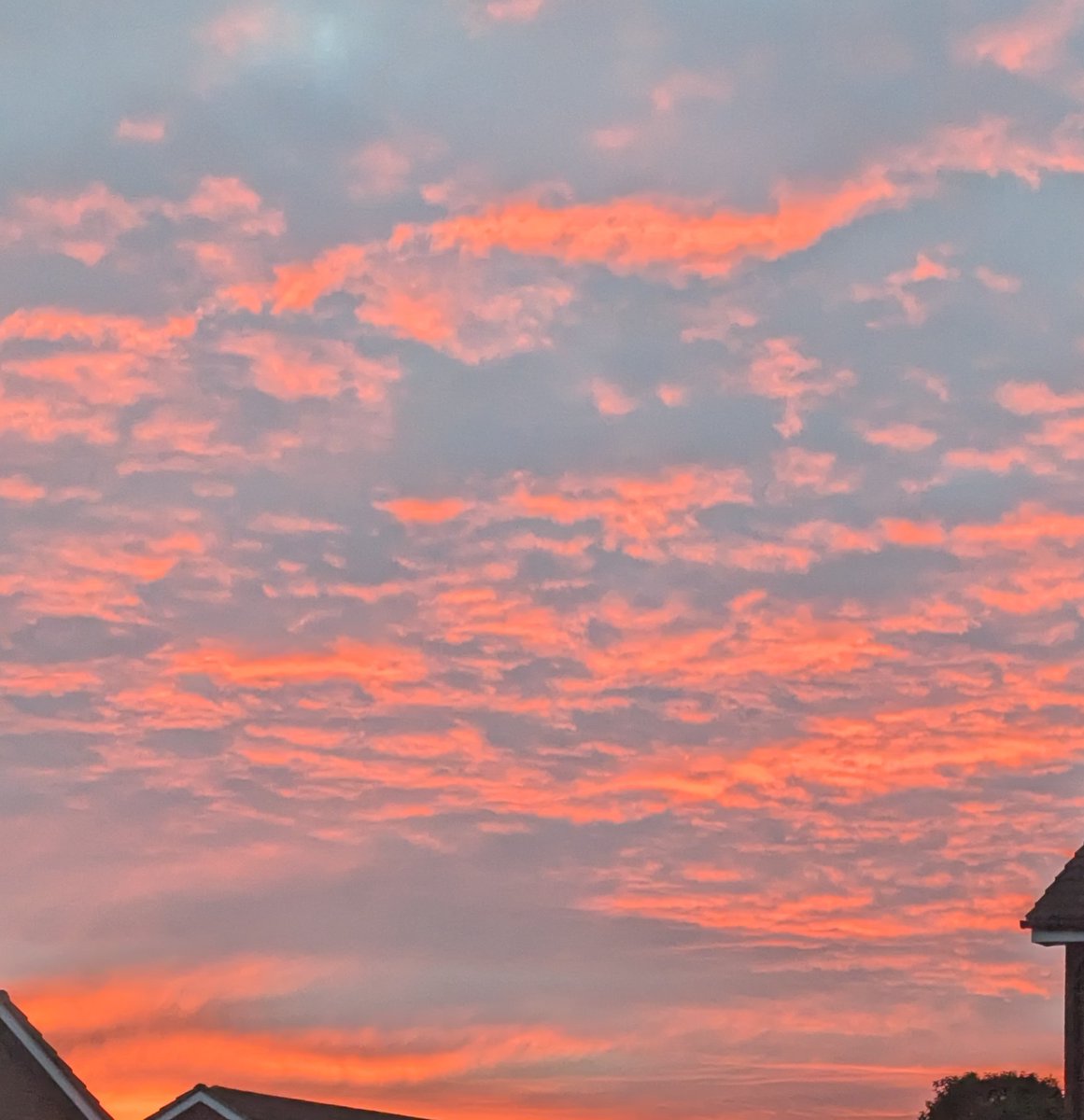 PureBexcellence's tweet image. Thanks to everyone who stopped by today! 
Be sure to check back in on SATURDAY with more Sims 4 gameplay.

For now, here's that sky I was talking about in stream.
