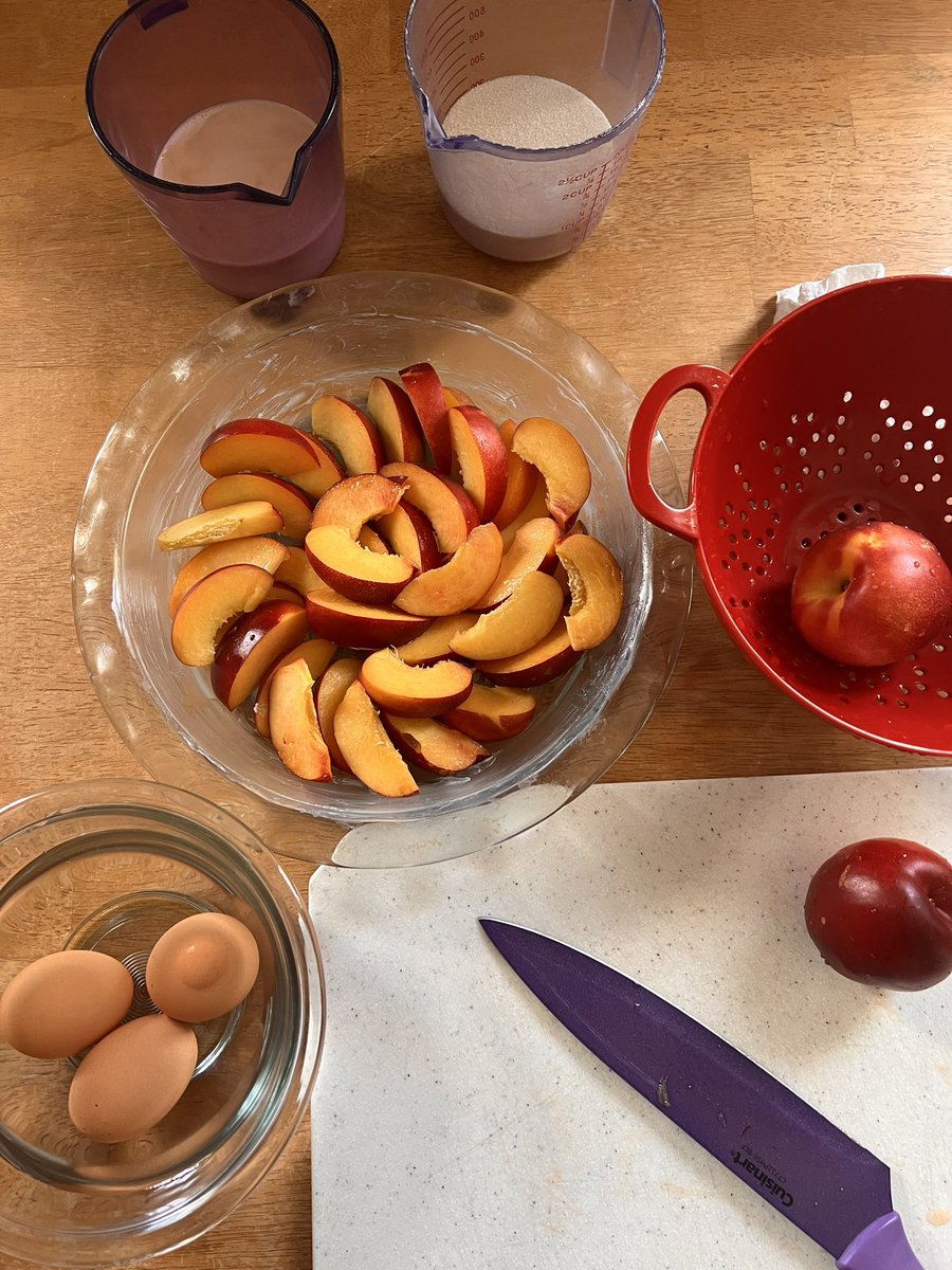AldridgeKamiele's tweet photo. Clafoutis! That’s What Happens ☺️🙌🏾 Creamy Custard 🍮 Gently Hugs Beautiful Nectarine 🍑 Folks Summer Has Arrived ❤️ #Clafoutis #Custard #HaveSomeFriend #SweetTartAmazing #LetsShare #ChefUp #BakedBaking #GamingCommunityEats @blackheart3488 @Tomkat_XII @SmokeCapone https://t.co/RGgjubC0EH
