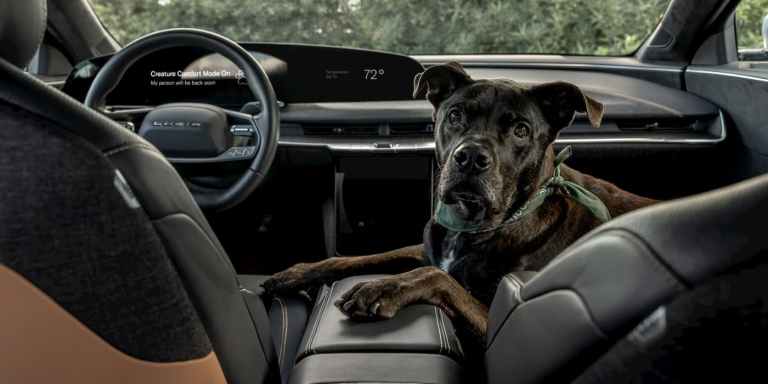 CarReviewExpert's tweet photo. Just like @Tesla's Dog Mode, @LucidMotors's Creature Comfort Mode allows owners to set and maintain a desired cabin temperature for their pets while they are away from the vehicle. The system automatically disengages when the door is opened upon return. https://t.co/igZnyV8gSw