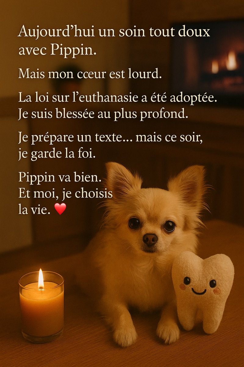 dr_FannyQ's tweet photo. Aujourd’hui, mon cœur saigne.
Mais je tiens à remercier les députés de l’@UDR_officiel qui ont voté contre la loi sur l’euthanasie.
Et tout particulièrement @ECiotti pour son courage et sa constance.
Merci de défendre la vie, jusqu’au bout. 🙏 #Euthanasie #Ethique #RespectDeLaVie https://t.co/WLMXC9DxqL