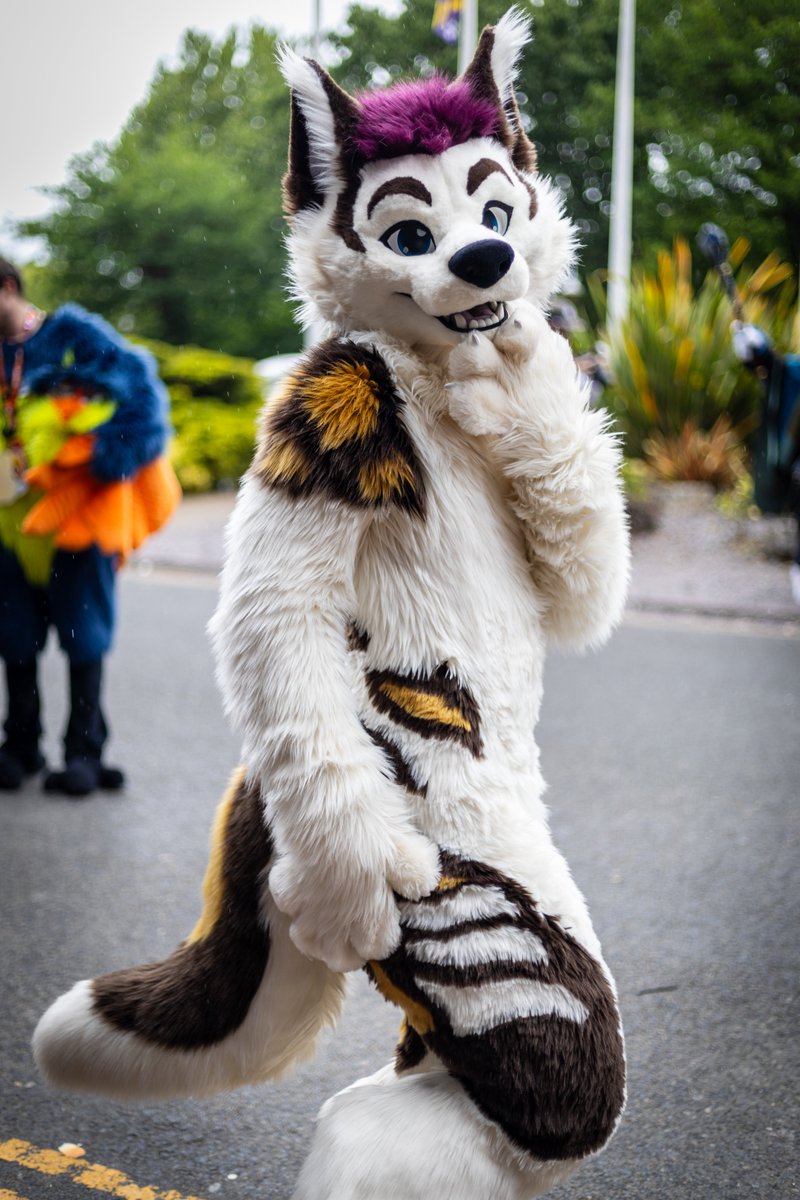 Found that cheeky dog! 👀✨

🐶: dexterdoggy (🦋☁️)