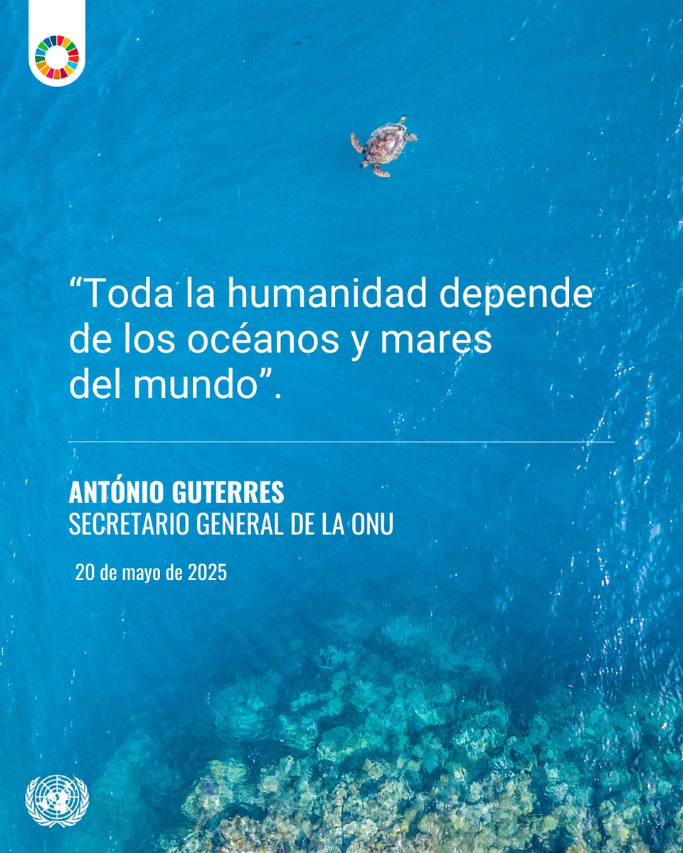 Naciones Unidas (@onu_es) on Twitter photo “Toda la humanidad depende de los océanos y mares del mundo”.
— <a href="/antonioguterres/">António Guterres</a> sobre la urgente necesidad de salvar nuestros océanos.
Más información de cara a la Conferencia sobre los Océanos de la ONU en junio: sdgs.un.org/es/conferences… #SalvemosLosOcéanos “Toda la humanidad depende de los océanos y mares del mundo”.
— <a href="/antonioguterres/">António Guterres</a> sobre la urgente necesidad de salvar nuestros océanos.
Más información de cara a la Conferencia sobre los Océanos de la ONU en junio: sdgs.un.org/es/conferences… #SalvemosLosOcéanos