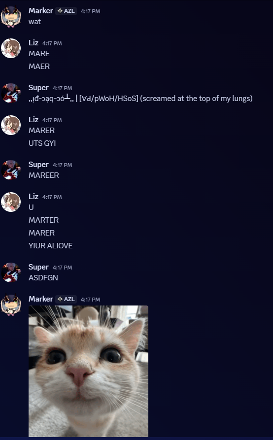 I may have amassed a cult following