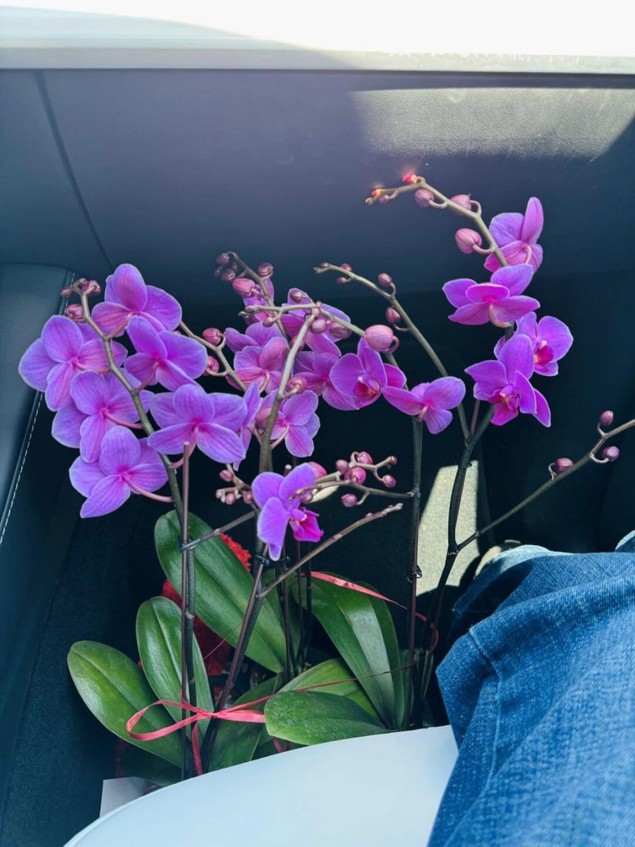 Added a little natural beauty to my space with a new orchid. Loving the fresh vibes and boosting my glow with organic vitamin C. Simple pleasures make all the difference. 
#SelfCare #NaturalBeauty #OrchidLove