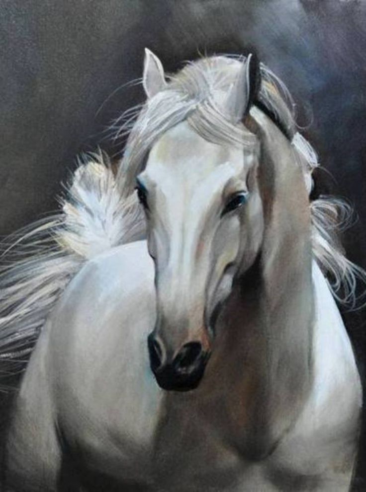 In Irish folklore horses have the ability to see ghosts and phantoms and other things that we humans cannot normally see  ☘️💀 

In old Ireland when a horse stopped on a road or laneway and refused to move any further  it was likely that it could see the ghosts of some long