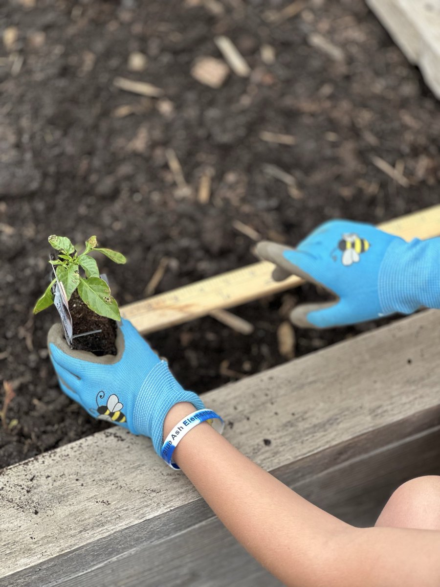 Macy ( Fraylick ) Timmerman tweet media