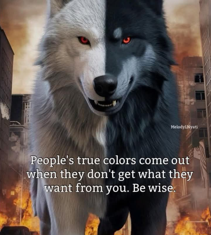geoogwang6's tweet photo. today's prophetic words
CAN YOU
RELATE...
#Juja MP George Kiomburi
#Netembeya
#Babu OWINO
#Gen z
#InWantam
#JeTutam
#KaribuHomaBay
#Tanzania MP
#Shipoto https://t.co/S3VqR3KUi9