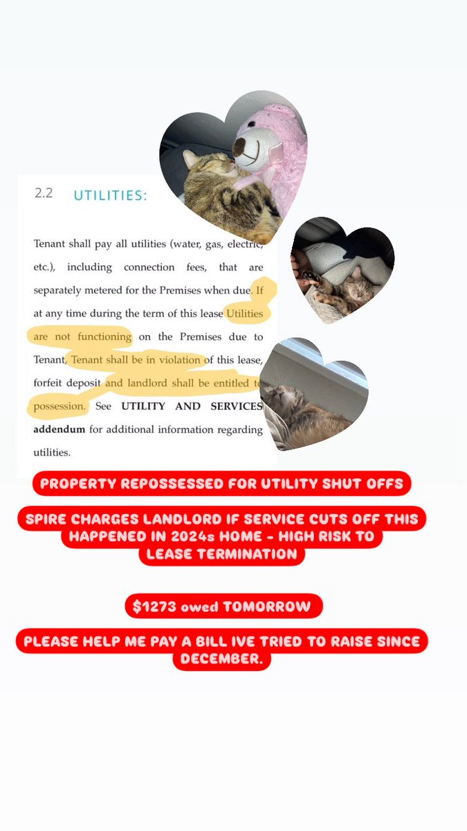 ignoring CFs kills & is eugenics! (@crowdfundng2liv) on Twitter photo <a href="/salvatorised/">🪑♻️ kir @ comms 2/6 🌿</a> I’m terrified to have been trying to raise this all month now Gas will shut off as soon as tomorrow. I am $1273 short to stop lease termination from utility shut off.
I have struggled to meet goals for bills since December.
we need food funds urgently.
linktr.re/torqu111 <a href="/salvatorised/">🪑♻️ kir @ comms 2/6 🌿</a> I’m terrified to have been trying to raise this all month now Gas will shut off as soon as tomorrow. I am $1273 short to stop lease termination from utility shut off.
I have struggled to meet goals for bills since December.
we need food funds urgently.
linktr.re/torqu111