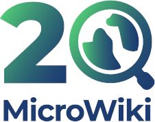 The Kingdom of Meridiana wishes <a href="/MicroWiki/">MicroWiki</a> a very happy 20th anniversary!

To the admin team, moderators, and everyone who contributes to this wonderful resource, here's to many happy returns! 🥂

#micronations #micronationalism #microwiki