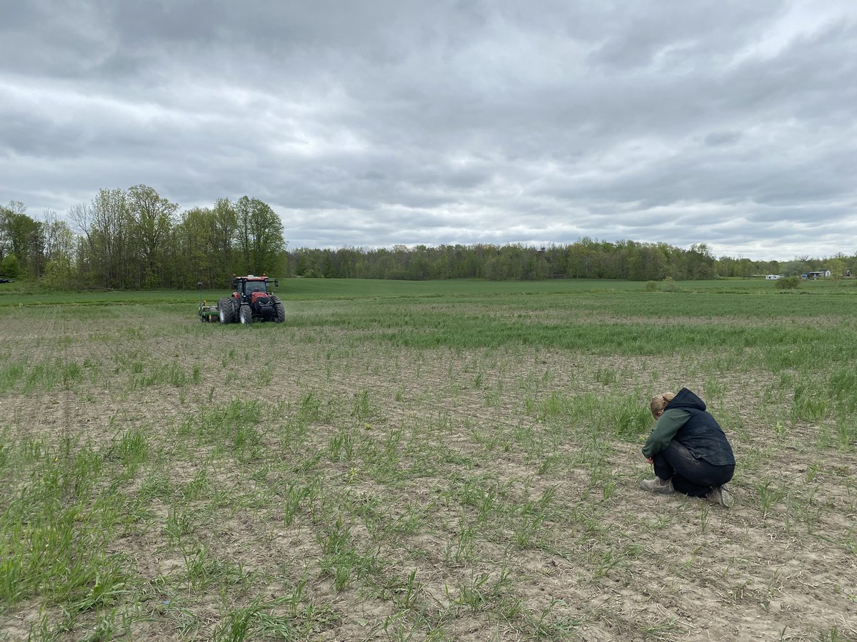 Getting our plot in with Lovering farms. Hoping the North will bring in the win for Yield Hero!  <a href="/PioneerSeedsCA/">Pioneer Seeds Canada</a>