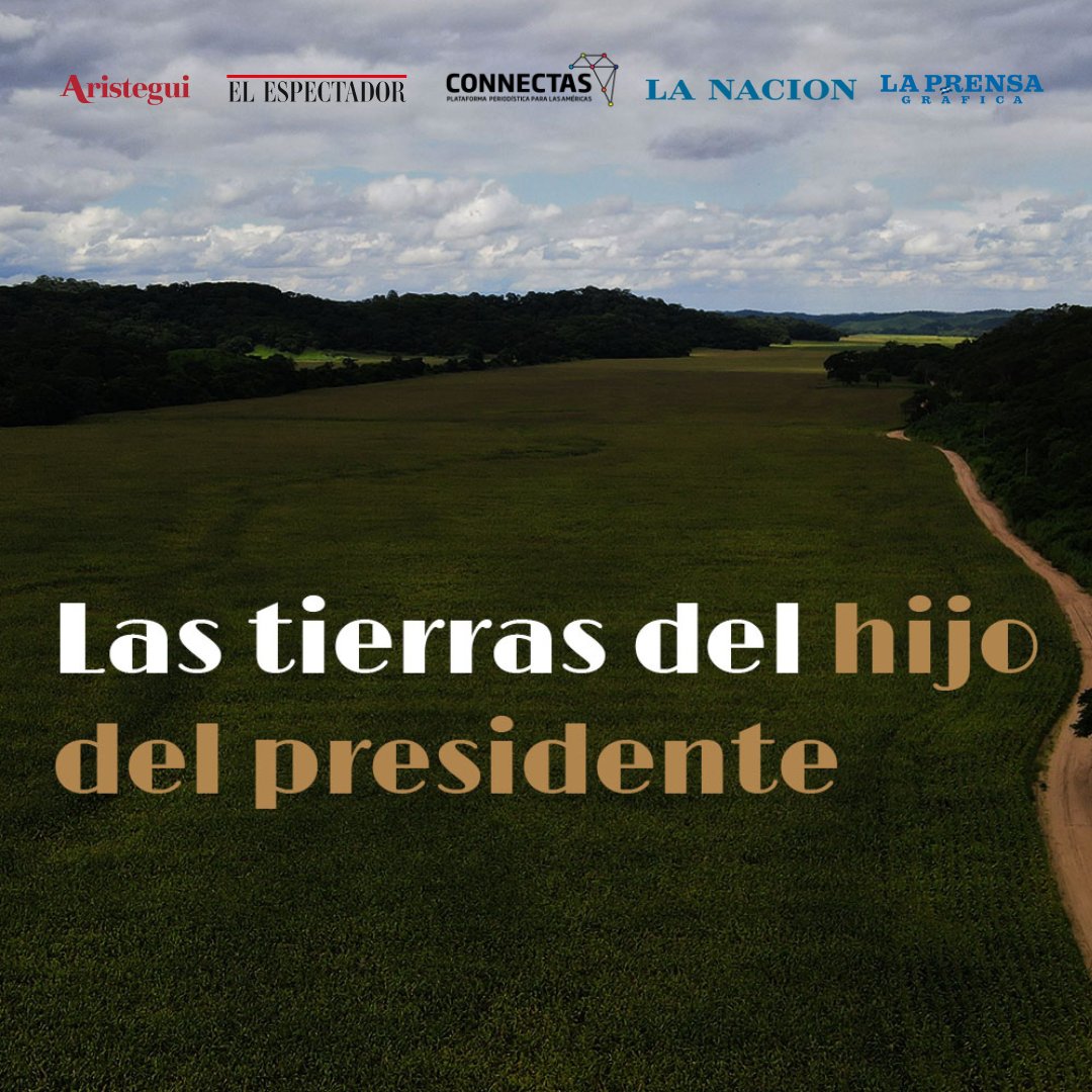 🚨 Luego de la publicación #LasTierrasDelHijoDeArce, la cual reveló irregularidades en el manejo de un predio de Rafael Ernesto Arce, hijo del presidente <a href="/LuchoXBolivia/">Luis Alberto Arce Catacora (Lucho Arce)</a>, así han reaccionado distintos actores sociales y políticos de Bolivia. 🇧🇴

Sigue el 🧵👇🏻.