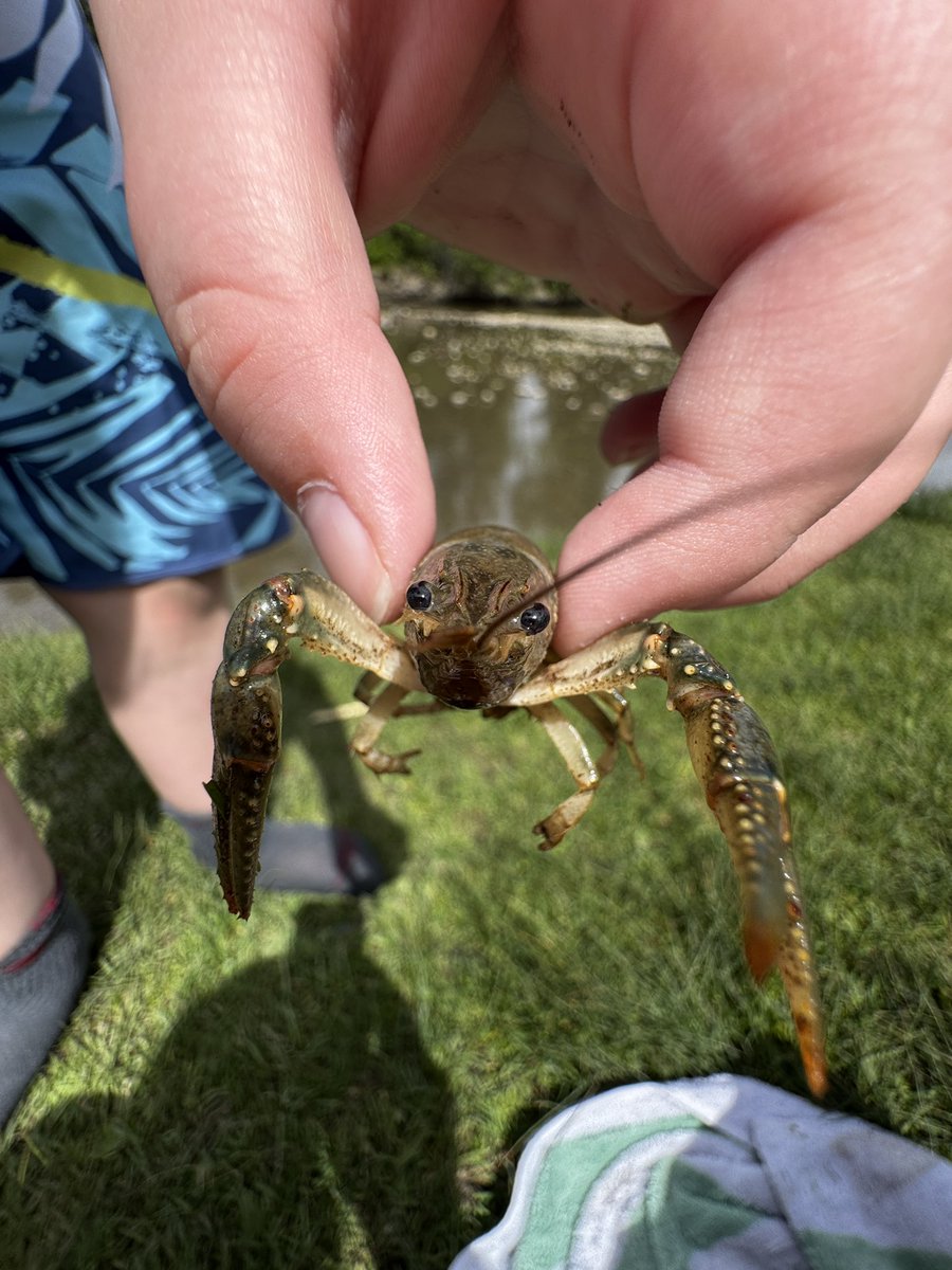 Dan Madden (@danmaddenwx) on Twitter photo It’s a Stanley park kind of day today! Finding crayfish and relaxing, waiting for the next severe weather to come up. <a href="/teamdomcanada/">teamdomcanada</a> #abwx #neverstopchasing It’s a Stanley park kind of day today! Finding crayfish and relaxing, waiting for the next severe weather to come up. <a href="/teamdomcanada/">teamdomcanada</a> #abwx #neverstopchasing