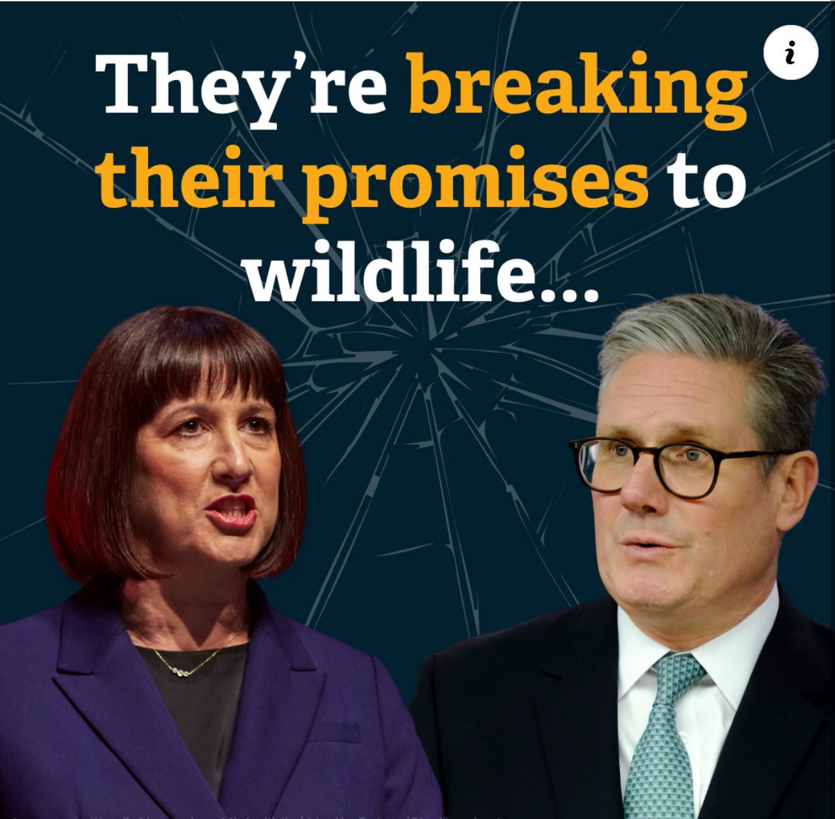 D Stanley tweet media