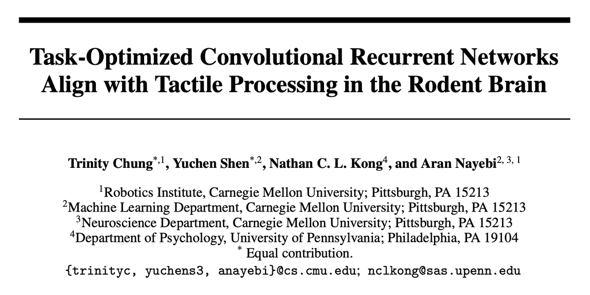Trinity Chung (@milotrince) on Twitter photo 1/ What if we make robots that process touch the way our brains do?
We found that Convolutional Recurrent Neural Networks (ConvRNNs) pass the NeuroAI Turing Test in currently available mouse somatosensory cortex data.
New paper by <a href="/AlexShenSyc/">Yuchen Shen</a> <a href="/NathanKong/">Nathan Kong</a> <a href="/aran_nayebi/">Aran Nayebi</a> and me! 1/ What if we make robots that process touch the way our brains do?
We found that Convolutional Recurrent Neural Networks (ConvRNNs) pass the NeuroAI Turing Test in currently available mouse somatosensory cortex data.
New paper by <a href="/AlexShenSyc/">Yuchen Shen</a> <a href="/NathanKong/">Nathan Kong</a> <a href="/aran_nayebi/">Aran Nayebi</a> and me!