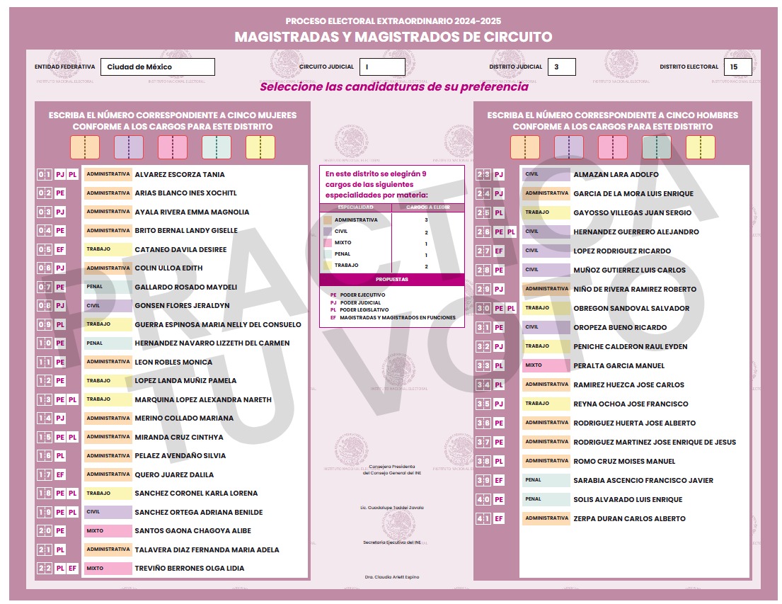 darknclear's tweet photo. @INEMexico No entiendo la boleta para Magistradas y Magistrados de Circuito. Dicen que son 9 cargos pero hay 10 casillas, dicen que 3 deben ser administrativas (anaranjada), pero solo hay 2 recuadros de ese color. Me explican cómo llenarla porfa? Tomé la imagen de su simulador https://t.co/NCy3A9k6uw