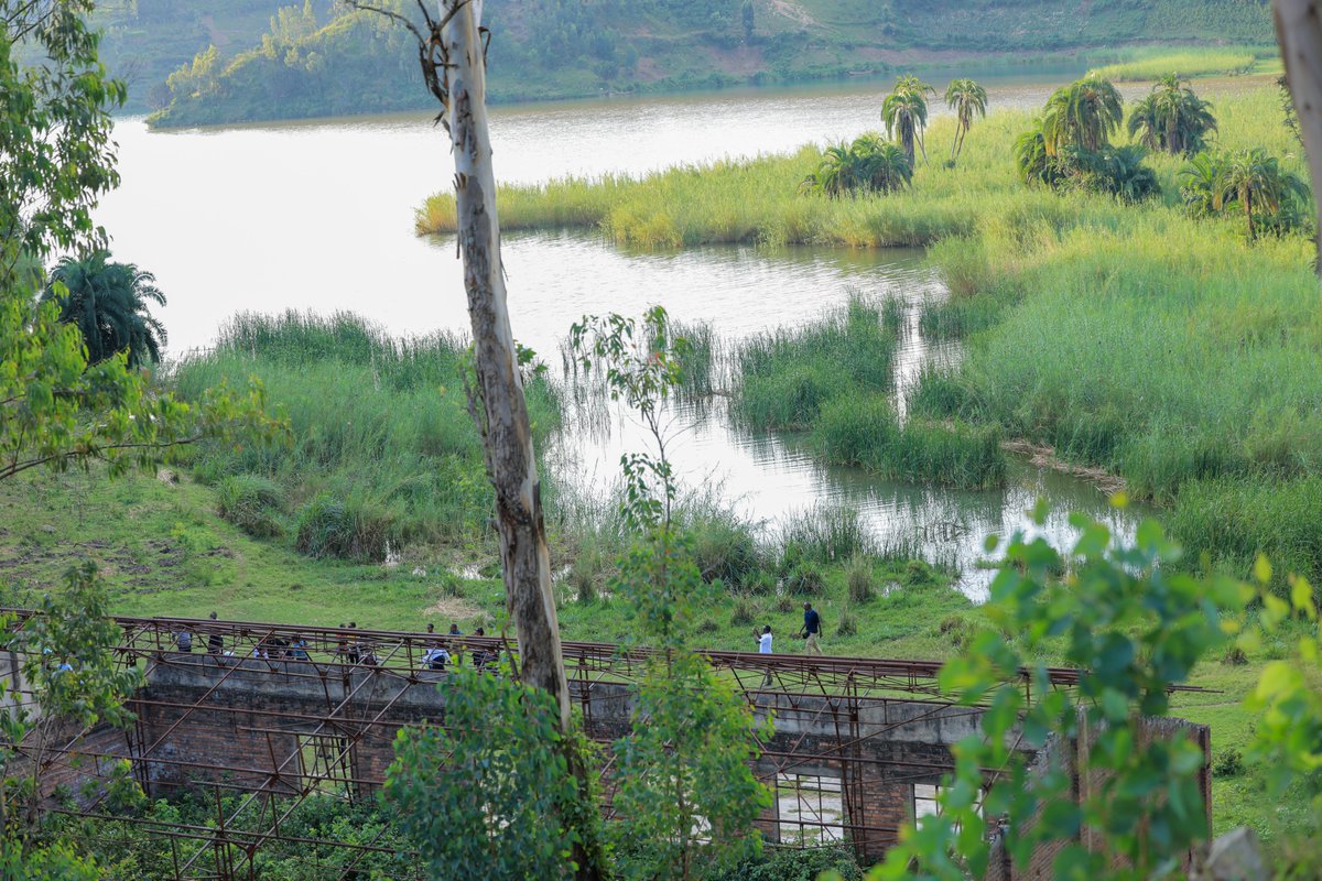 IntekoyUmuco's tweet photo. 𝐈𝐤𝐢𝐠𝐨𝐛𝐞 𝐜𝐲𝐚 𝐌𝐮𝐬𝐚𝐡𝐨
#Musaho ni ikigobe kiri ku nkengero z’ikiyaga cya Kivu hagati y’umusozi wa Sure uri muri @RutsiroDistrict n’umwigimbakirwa wa #Nteko uri mu karere ka @KarongiDistr.
Hambere, aho hahoze ari mu karere kitwaga u Bwishaza. Musaho yamenyekanye mu mateka y’u #Rwanda kubera ko hahoze amazu y’abakoroni; by’umwihariko mu gihe cy’ubukoroni bw’Ababirigi hari icyambu gikomeye cyahuzaga u Rwanda na Congo mbirigi.
Kubera icyo cyambu, byatumye hubakwa uruganda rwa mbere muri ako karere k’u Bwishaza rwatunganyaga kawa mbere yo kuzijyana i Burayi zinyuze muri Congo. Urwo ruganda rwahubatswe mu 1954. Aho mu Musaho kandi ni ho Shikaramu n’abarwanyi be bahungiye mbere yo gusubira i Burayi.
Ubundi uwo muntu #Abanyarwanda bita Shikaramu ni umucanshuro w’umubirigi witwaga Major Jean Schramme. We n’abandi bacanshuro yari ayoboye barwanye mu ntambara yabereye muri Congo mu 1967, bashyigikiye uruhande rwashakaga ko intara ya Katanga yigenga.
