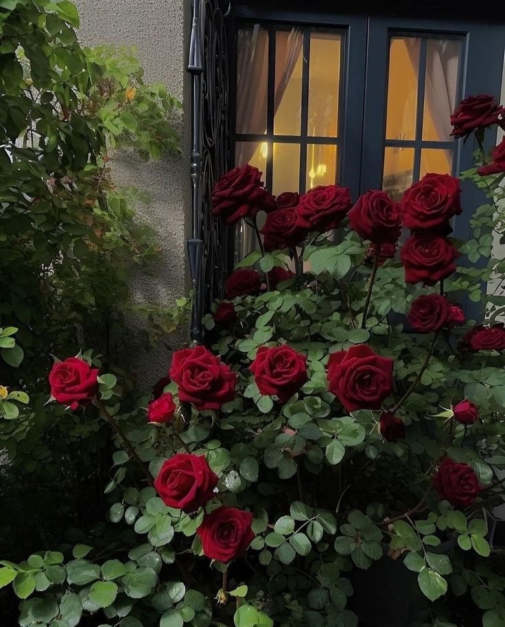 greenvibe's tweet image. 