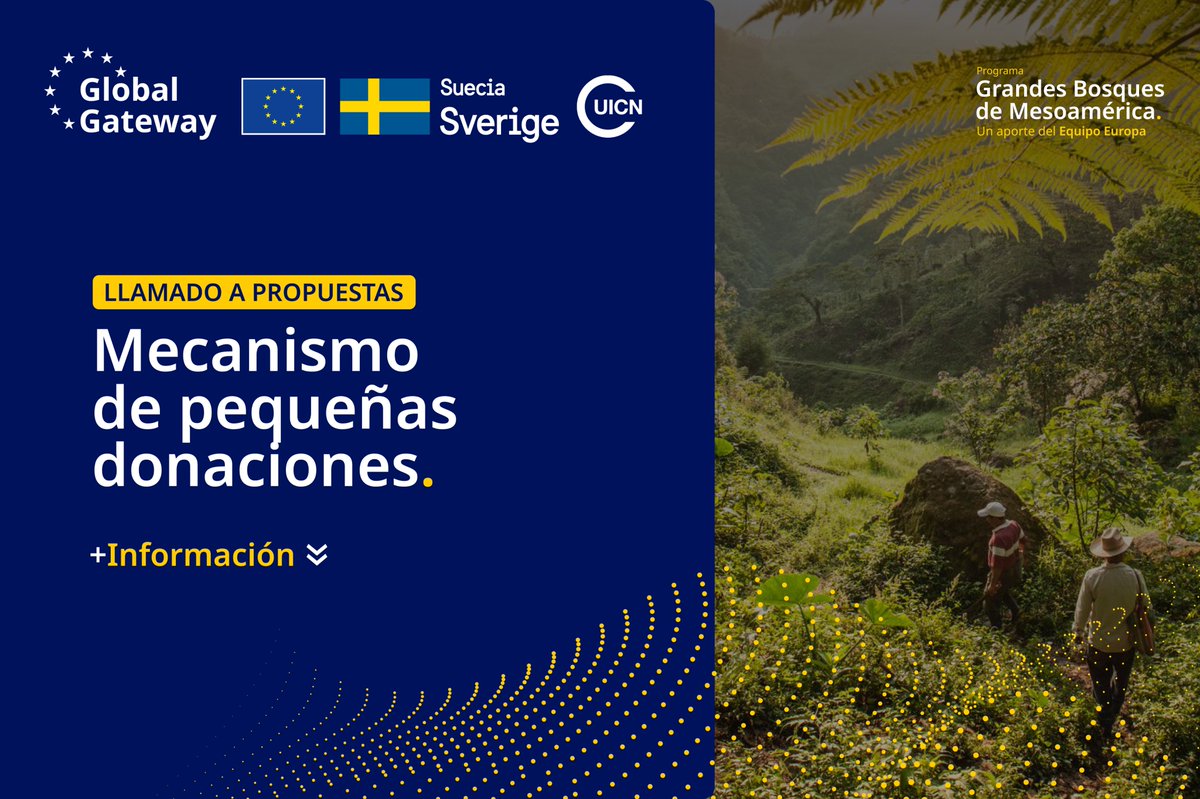 📢Nueva #Convocatoria

Seguimos demostrando en este 2025 nuestro firme 🫱🏾‍🫲🏼compromiso con los 🌳#GrandesBosques de #Mesoamérica. ¡Ya lanzamos la 2ª convocatoria para proyectos territoriales! 🇸🇪#Suecia (<a href="/Sida/">Sida</a>), parte de nuestro 🇪🇺#EquipoEuropa, pone a disposición junto a