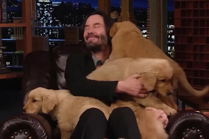 Us reading all your submissions 

Send us something!

dailydrunkmag.com/submit-2/