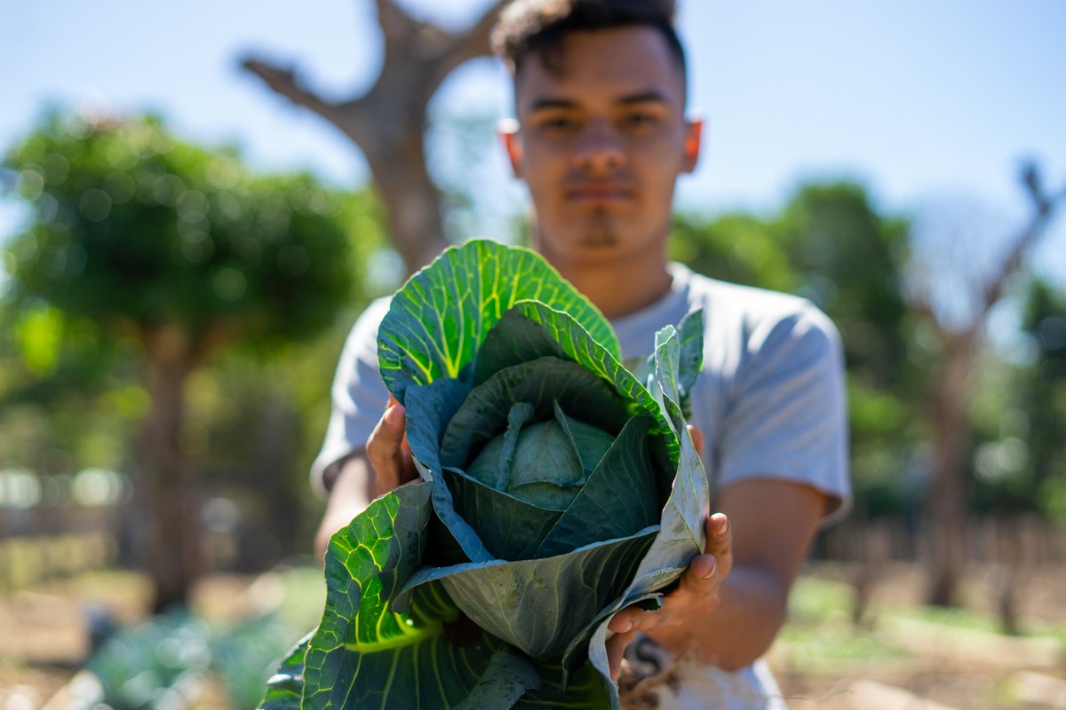 WFP_SV's tweet image. ¡Alimentando el presente y el futuro! ✨

WFP 🇸🇻 apoya la producción eficiente de alimentos, cuidando los recursos y fortaleciendo el bienestar de las comunidades a través de:

🌱 Capacitaciones en buenas prácticas agrícolas
🍅 Huertos comunitarios
🛒 Acceso a mercados locales