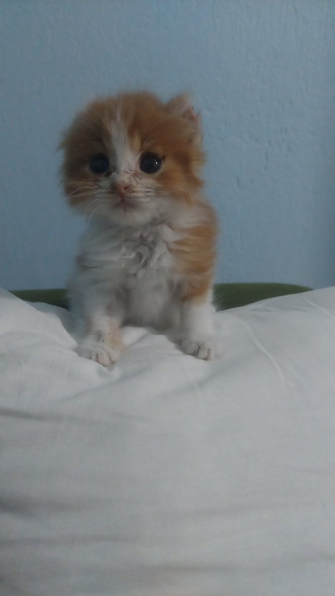 Yarın diyeti bozuyoz kıslarr🥳