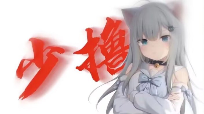 来自猫猫的建议