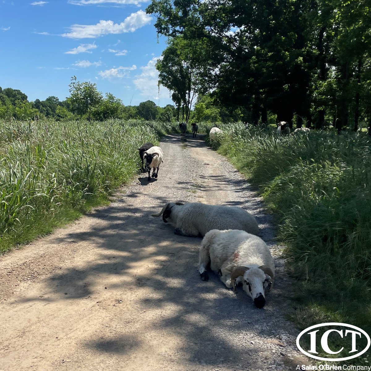 I. C. Thomasson Associates, Inc. tweet media