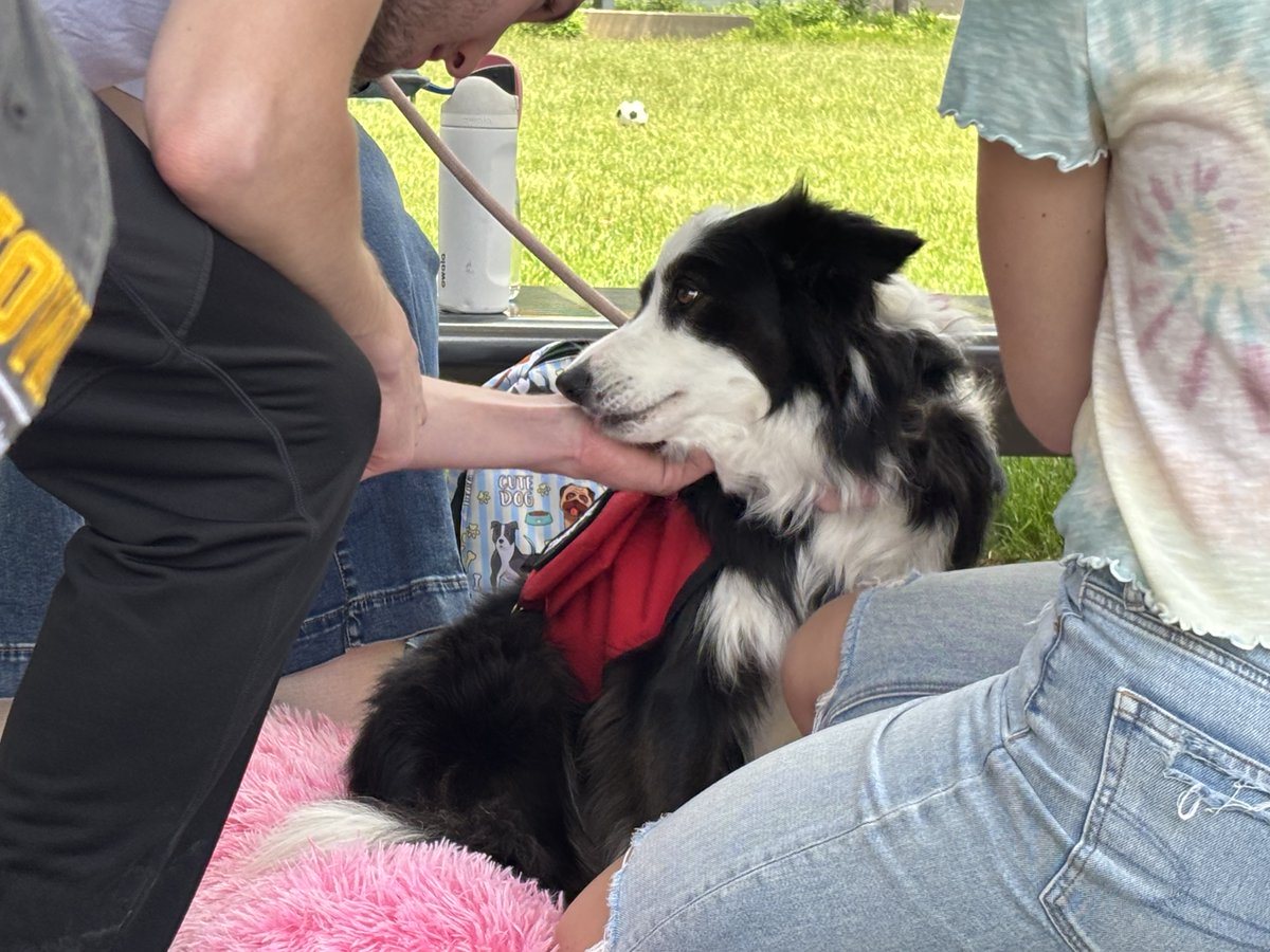 Petting therapy pups at the annual Carver Carnival. ☀️🐶 Summer has officially begun!