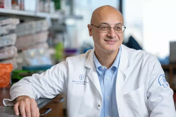 Memorial Sloan Kettering Cancer Center (@mskcancercenter) on Twitter photo In a new study published in <a href="/CellPressNews/">Cell Press</a>, researchers from MSK and <a href="/fredhutch/">Fred Hutch Cancer Center</a> show that it may be possible to develop an #immunotherapy-based approach for #AcuteMyeloidLeukemia and #myelodysplastic syndrome.
“This is a potential breakthrough,” says Dr. Omar Abdel-Wahab. “We’re In a new study published in <a href="/CellPressNews/">Cell Press</a>, researchers from MSK and <a href="/fredhutch/">Fred Hutch Cancer Center</a> show that it may be possible to develop an #immunotherapy-based approach for #AcuteMyeloidLeukemia and #myelodysplastic syndrome.
“This is a potential breakthrough,” says Dr. Omar Abdel-Wahab. “We’re