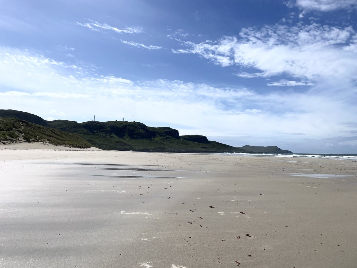 Winna Ding tweet media