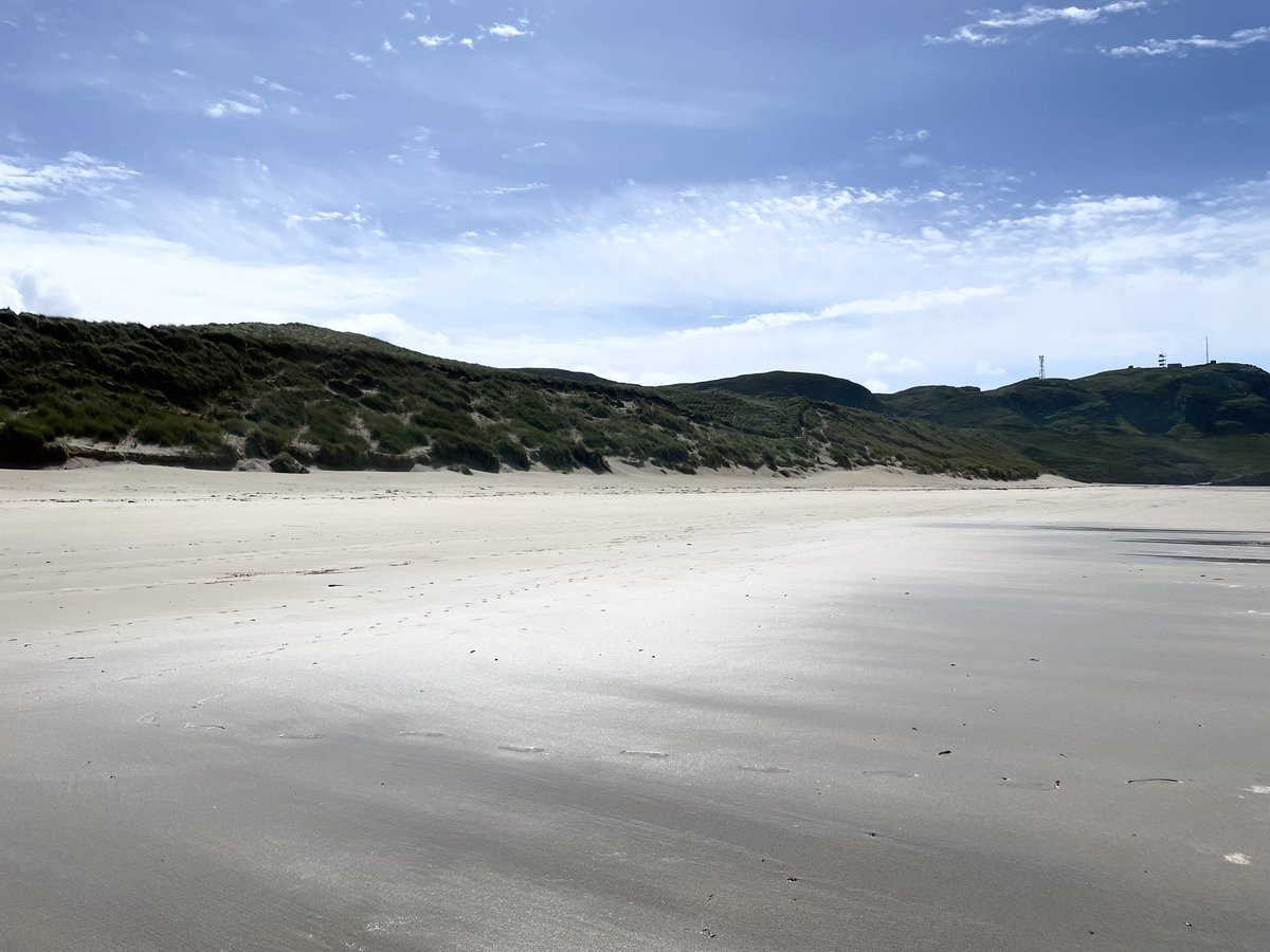 Winna Ding tweet media