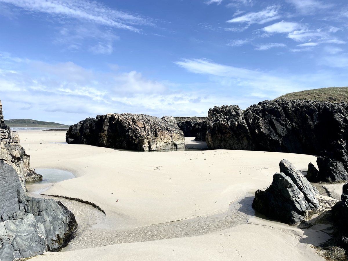 Winna Ding tweet media