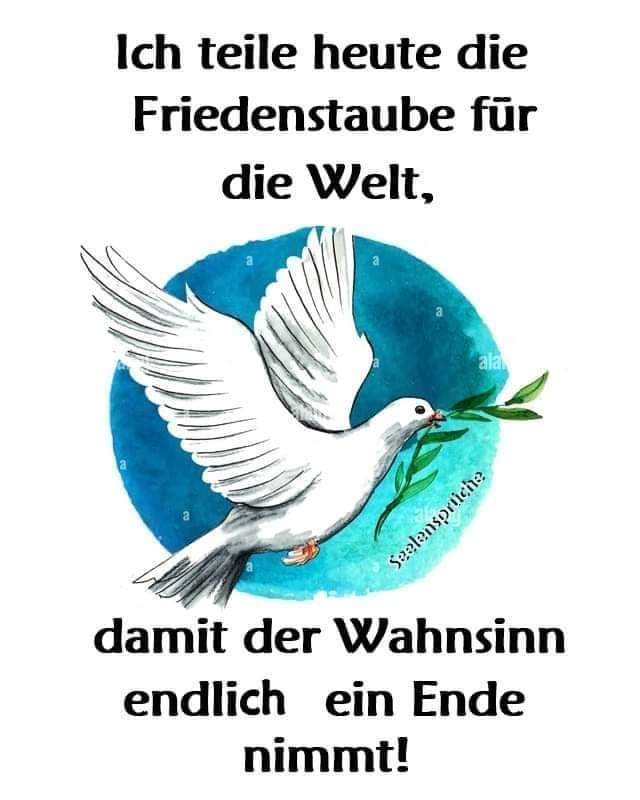 <a href="/SytemRebellin/">Andrea</a> Allein,wenn ich Ihn sehe,macht mich krank.
Also,versuche ich Ihn aus dem Weg zu gehen.
Es sind die Kriegstreiber ,die nicht weiter denken.
Erst,wenn es wirklich knallt,dann ist es zu spät.
Wir wollen Frieden und keinen Krieg.
Helft Alle dabei mit.