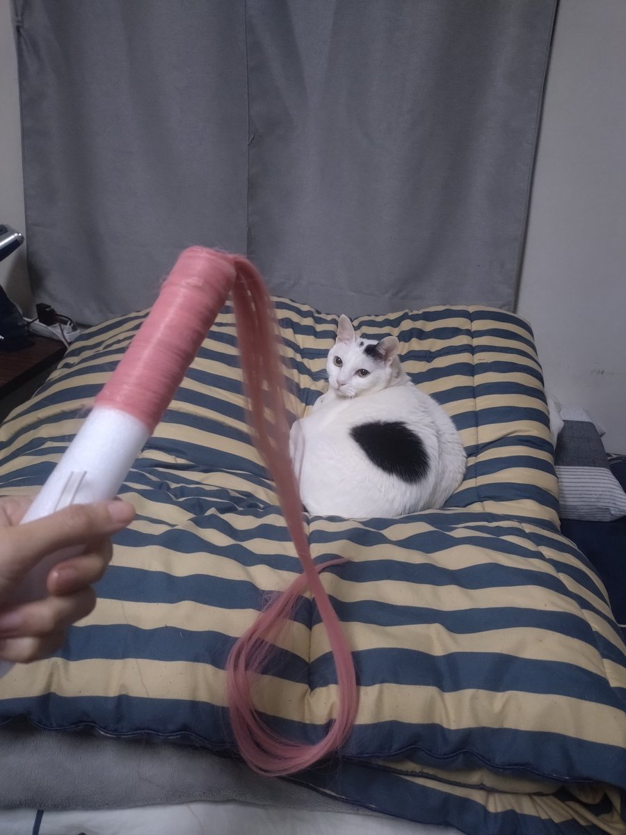 峟👁️Eros tweet media