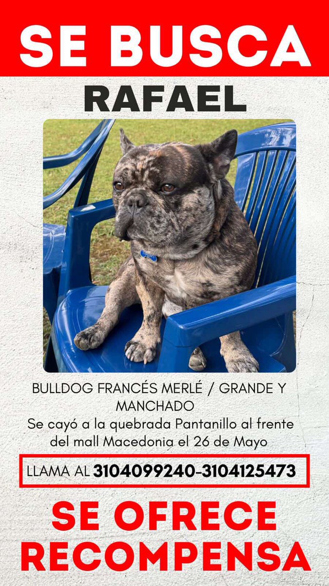 RT si pueden 🥺