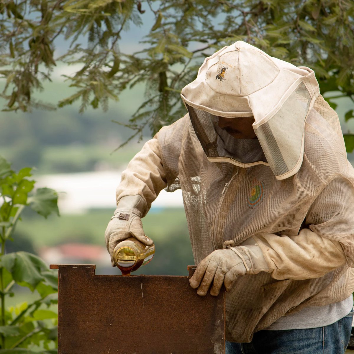 🐝Are you a beekeeper living in the EU?

Join Apimondia in shaping the future of beekeeping in the European Union through the EU-funded #BTHENET project survey

Deadline: 15 June 2025

Take the survey bit.ly/43D8wLi