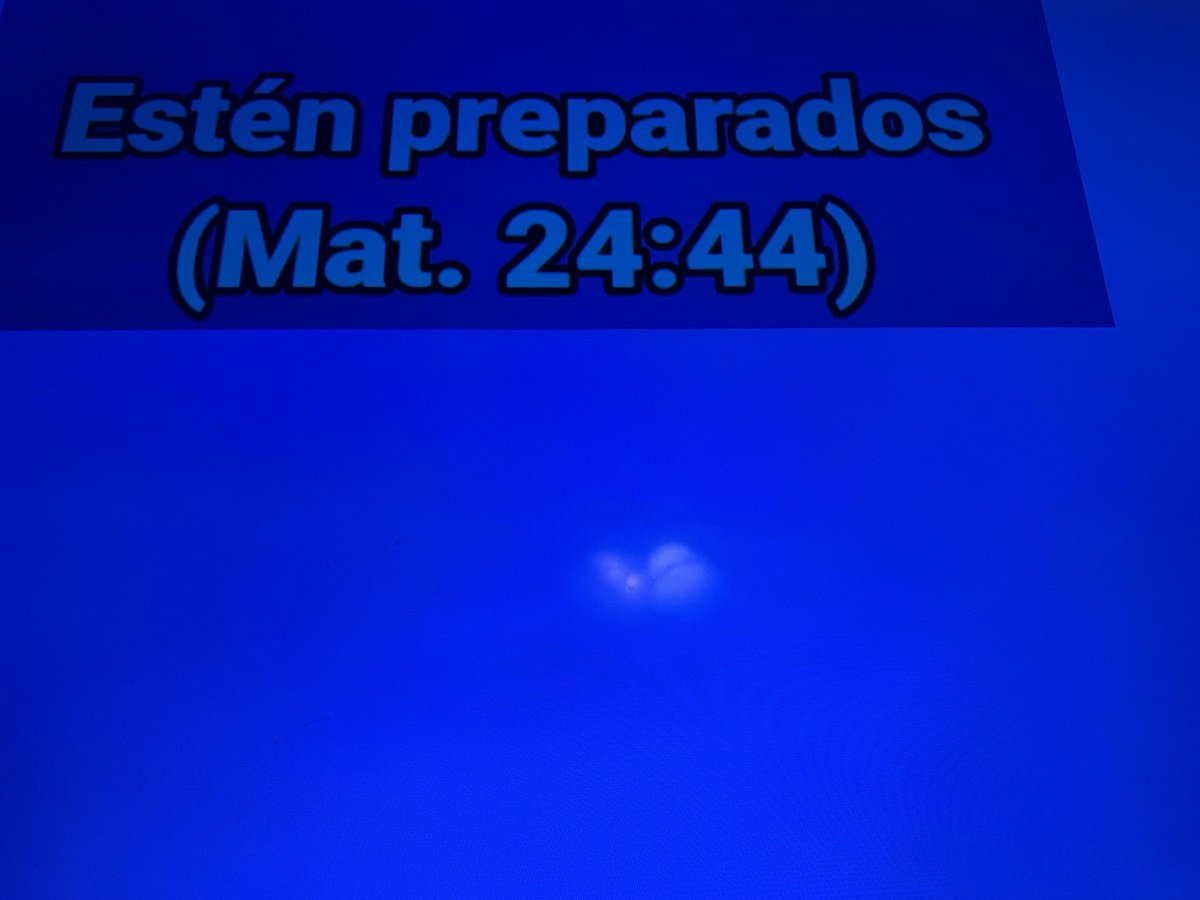 Nomas (@ariel_poll) on Twitter photo 