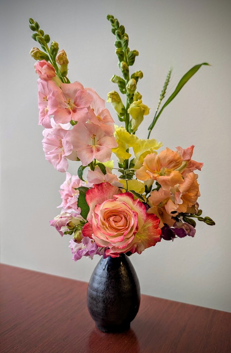 identitykrysis's tweet image. Work bouquet time! Snapdragons and one of my Double Delight roses. 🪻🌼🌹🌿✨ #TimelineCleanse #GardeningTwitter