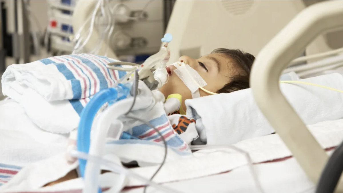 Children's Hospital LA (@childrensla) on Twitter photo The first-ever trial of its kind found that using a computer decision support tool for children with acute respiratory failure on mechanical ventilation resulted in faster weaning from ventilation and shortened time on a ventilator. The results were published in <a href="/NEJMEvidence/">NEJM Evidence</a>. The first-ever trial of its kind found that using a computer decision support tool for children with acute respiratory failure on mechanical ventilation resulted in faster weaning from ventilation and shortened time on a ventilator. The results were published in <a href="/NEJMEvidence/">NEJM Evidence</a>.
