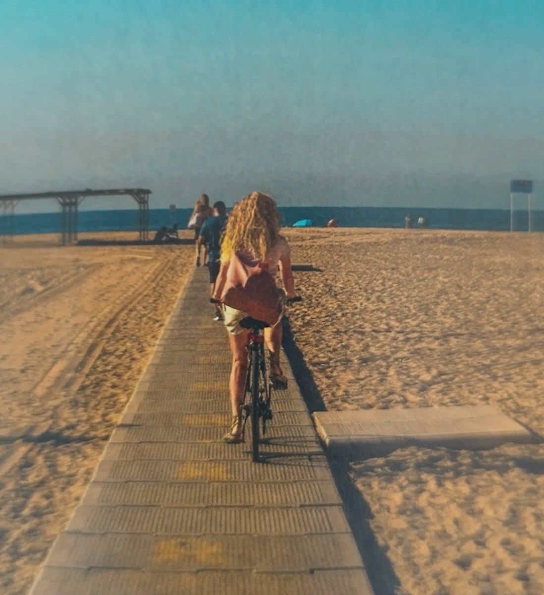 papsf.cat tweet media