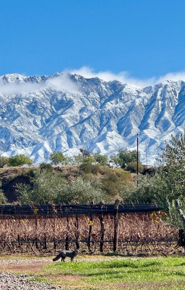 Tengo una amiga con un excelente ojo para capturar paisajes así. 
Las Campuertas, Mendoza. 
Laaaaaa qué fotón 🤍
<a href="/florba_x/">MFB</a>