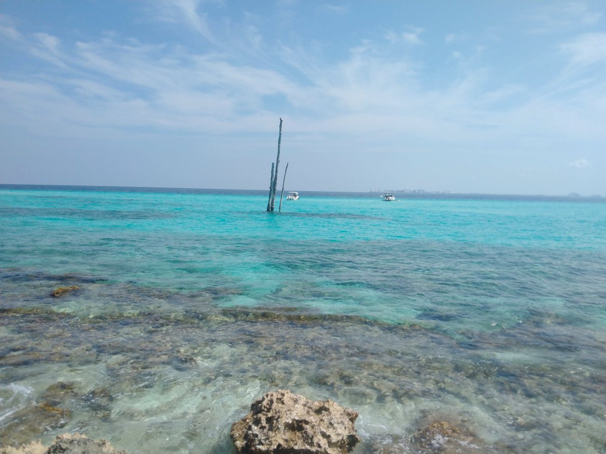 cimioparedez's tweet photo. Ojalá viviera en Cancún para ir todos los días a la playa.
*Alguien que vive en Cancún y nunca va a la playa.😐 https://t.co/WprzA8Tbxd