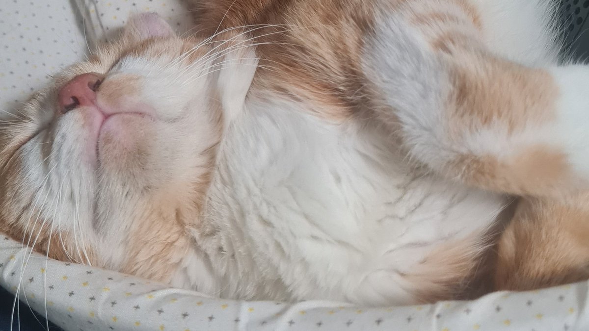 KEEN (@daiskeenq) on Twitter photo 