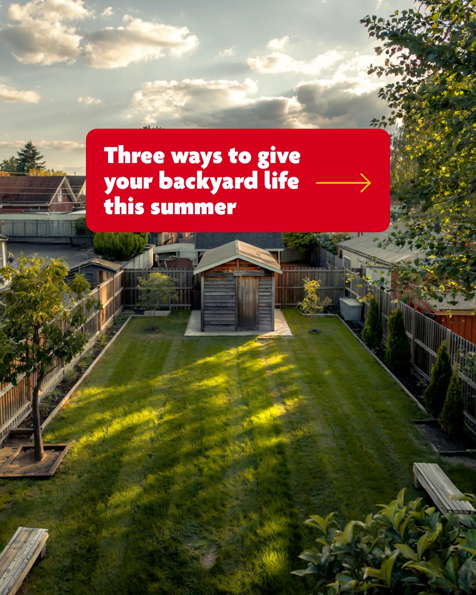 teamfishtv's tweet image. Lifeless to Life of the party!
Give your backyard life this summer with  Home Hardware.
#OutdoorVibes #PartyReady #BackyardTransformation #BackyardVibes #Barbecue
