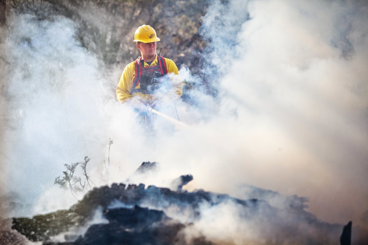 StateForesters's tweet image. Wildfire season is here and state forestry agencies are committed to protecting our natural resources and your community by:
🪓 Creating fuel breaks
🔥 Conducting prescribed burns
👩🚒 Responding to fires
🤓 Sharing wildfire prevention education