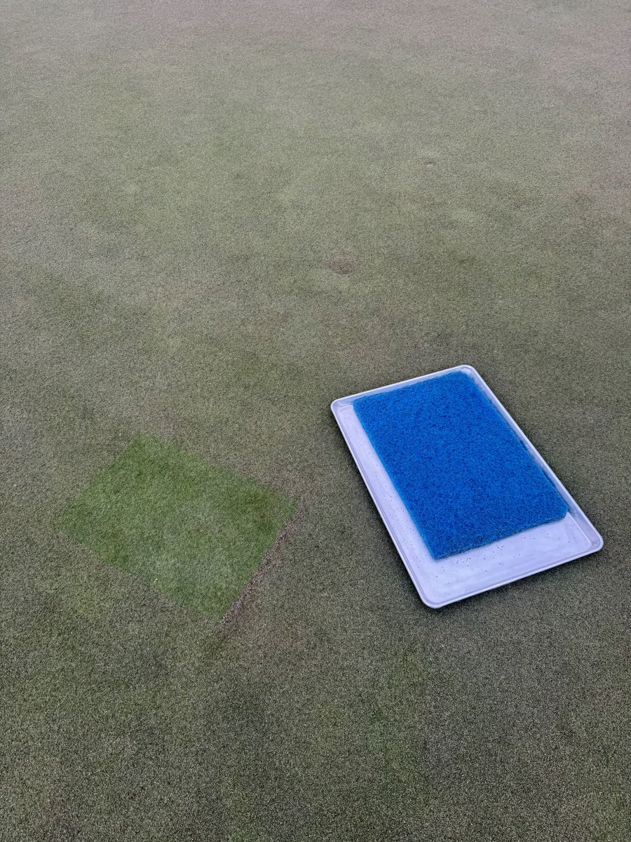 BentgrassWizard's tweet image. We have adopted a lot of modern practices into our turf management program here @Chatham_Hills, but limiting our topdressing for the sake of playability is not one of them. 80 lbs/M isn’t going to rock the boat, but not doing it has proven to be detrimental to our surfaces as we…