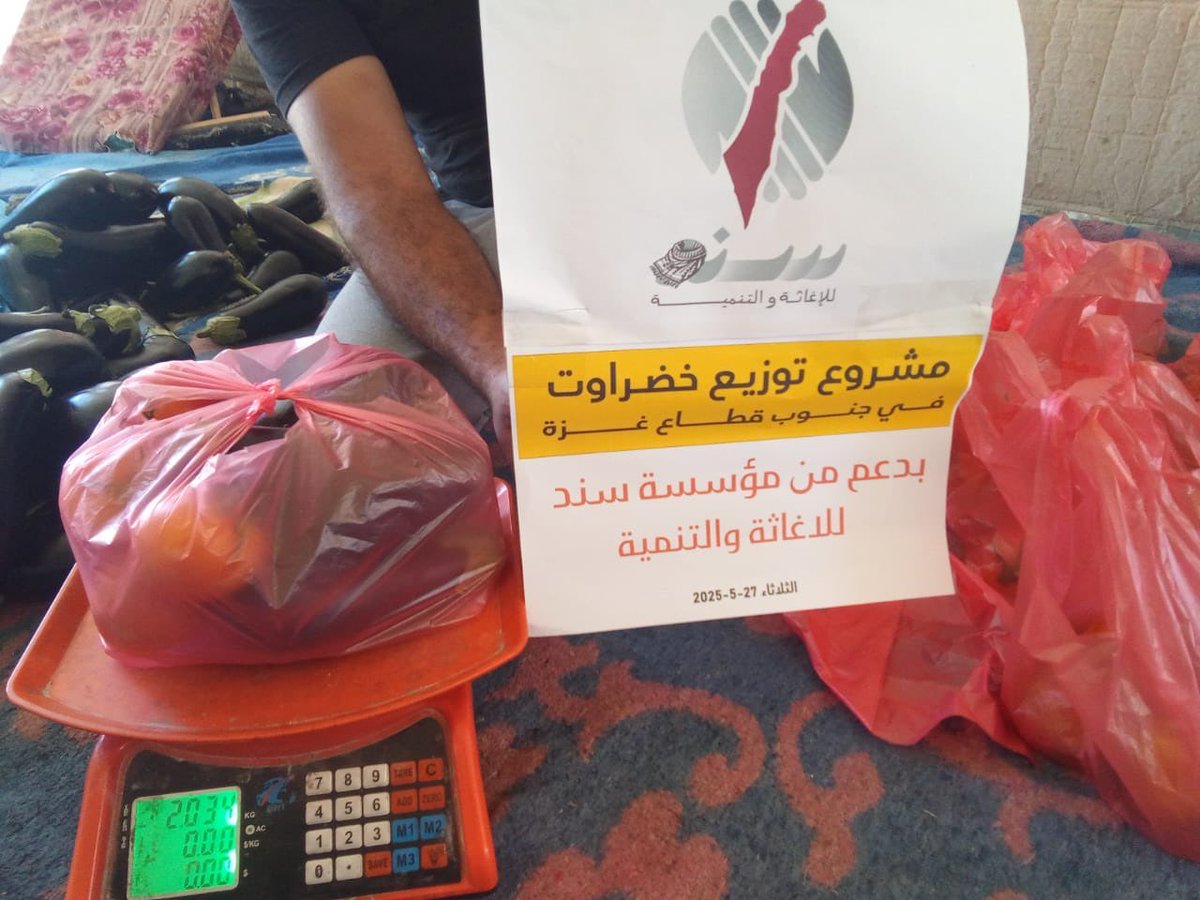 sanadrelief's tweet photo. 🟢توزيع خضروات اليوم على الأسر بمواصي خانيونس جنوب #قطاع_غزة🟢

🟢هذه الخضروات تم شراؤها من المزارعين داخل القطاع🟢 

⭕️للتبرع والمساهمة من خلال الرابط التالي⭕️؛

https://t.co/y2DUuru2AX

مؤسسة سند للإغاثة
لمن لا سند لهم https://t.co/vTUpRCJ7Tf