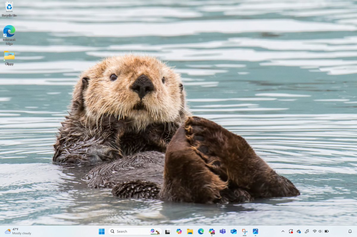 imagine hating Windows 11 and we’re just over here like