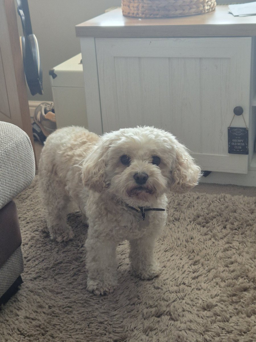 Steve Burnley tweet media